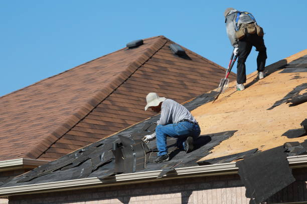 Professional Roofing services in Coon Rapids, MN